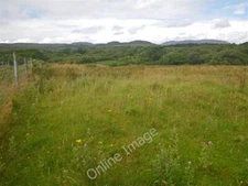 Photo 6x4 Wildflower meadow in the Ardilistry River watershed Ardbeg/NR4 c2009