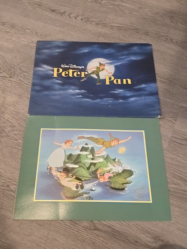 The Disney Store Peter Pan Lithograph Picture Neverland 11x14