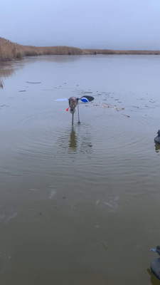 This is a 3d printed Duck animator that costs a lot less then the real thing.