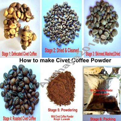 Civet Coffee Wild Kopi Luwak Asian Civet Coffee Coffee Powder 50 Grams Ebay Civet Coffee Wild Kopi Luwak Asian Civet Coffee Coffee Powder 50 Grams Ebay