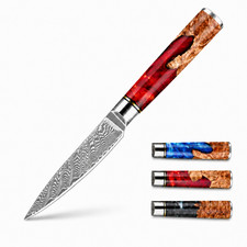 3.5" Damascus Paring Knife 67-Layer VG10 Japanese Kitchen Knife Resin Handle
