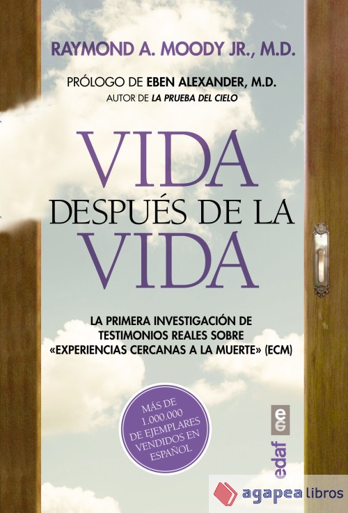 Vida después de la vida. NUEVO. ENVÍO URGENTE (Librería Agapea)
