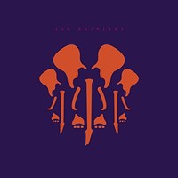 Joe Satriani - Elephants Of Mars - Vinyl Record L.P. Set - F99Z