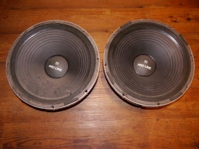 Speaker EV 15 Proline   1 Stück.