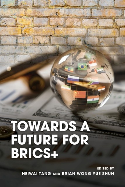 Towards a Future for Brics+ (Paperback Book)
