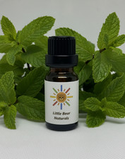 Peppermint Essential Oil - 100 Pure - 10ml