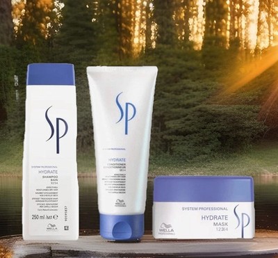Wella Hydrate Geschenkset Shampoo 250 ml + Conditioner 200 ml + Mask 200 ml  