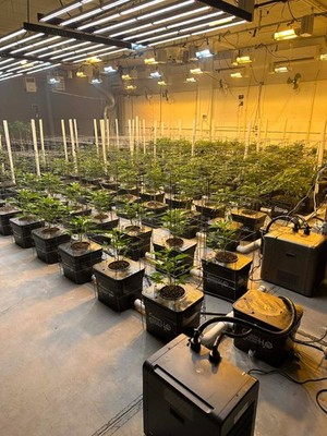 current culture hydroponics 32 Site with chillers