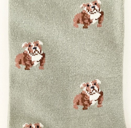 J.Crew Factory Men’s Critters Socks Red/Green Sage Dog Patten NWT One Size - Picture 3 of 6