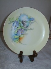 VINTAGE JHR HUTSCHENREUTHER SELB HAND PAINTED SOUVENIR OF WISCONSIN DELLS