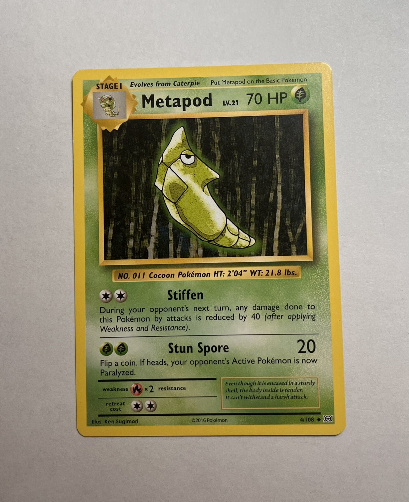 Metapod 4/108 - XY Evolutions - Uncommon - Pokemon Card TCG