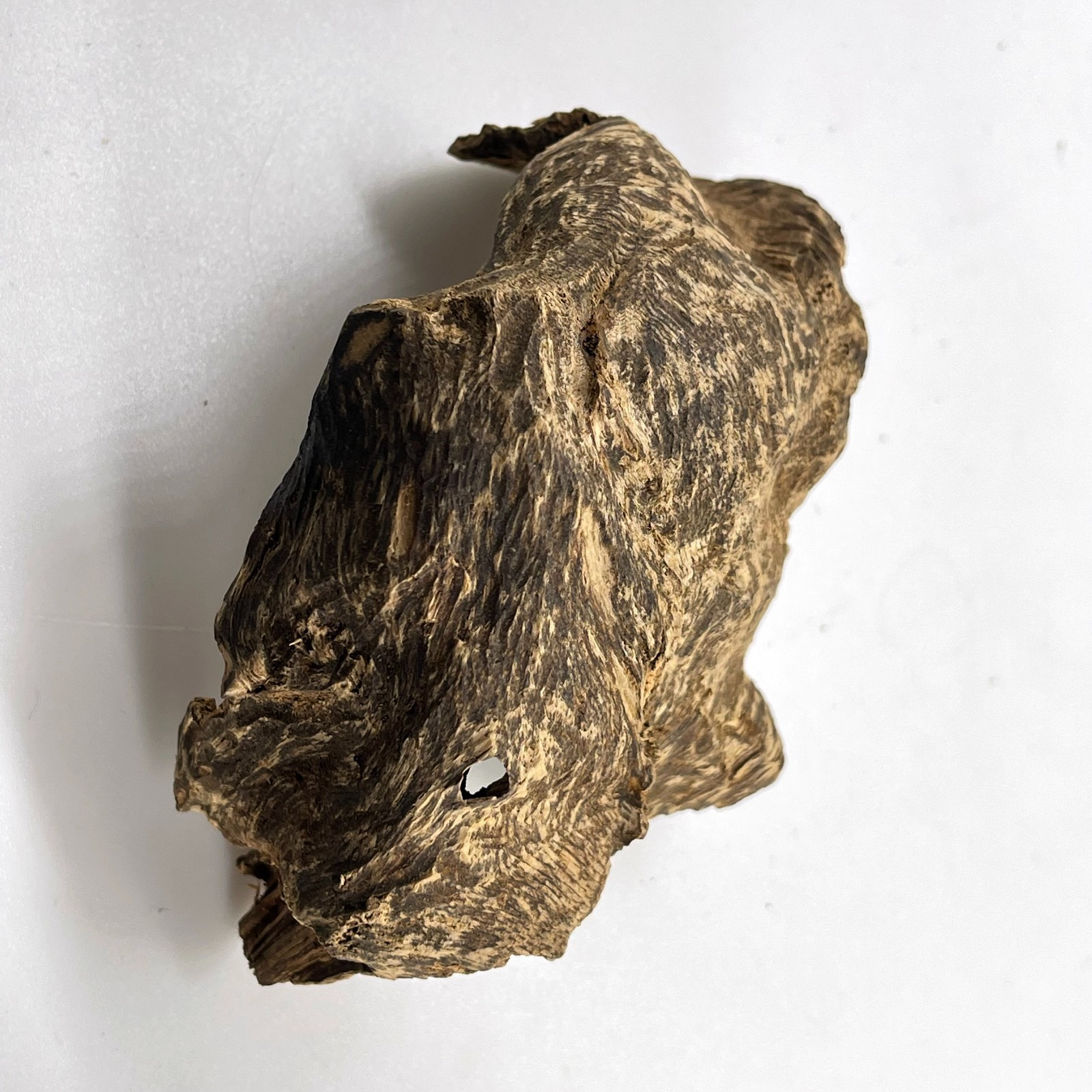 Collective Wild Natural Malaysia Aquilaria Agarwood Water Pocket 西马野生重油结香沉香蓬莱香
