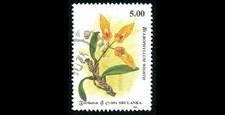 Used Stamp 60th Anniv of Orchid Circle of Ceylon - Bulbophyllum wightii 1994 G2