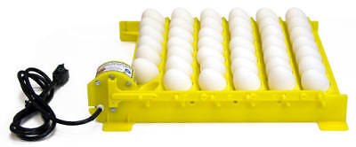 Optional egg turner Incubator Genesis Hova-Bator 1588 GQF Tabletop Incubator