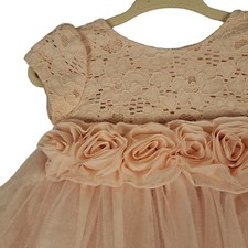 Peppa And Julie Baby Girl Party Dress Sz 3/6 Mos Petal Pink Petticoats Roses