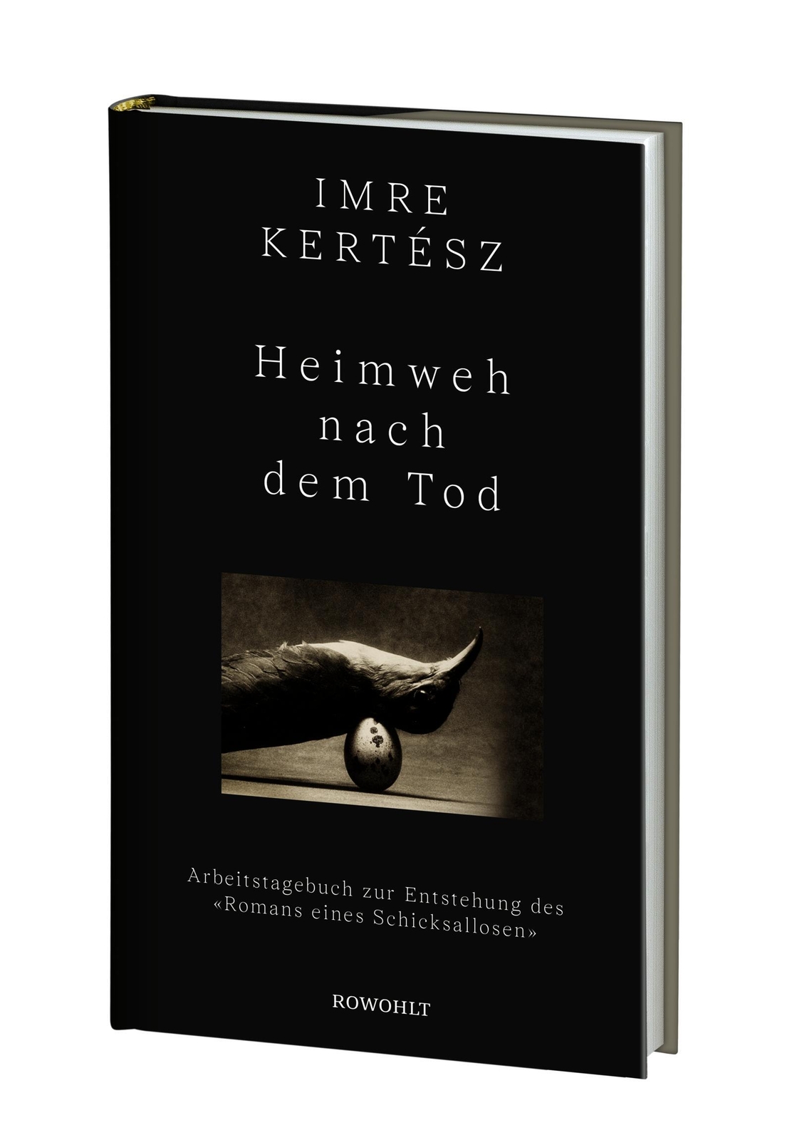 Thumbnail - Heimweh Nach Dem Tod | Arbeitstagebuch Zur Entstehung Des 'romans
