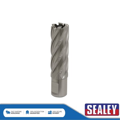 Sealey Worksafe �� 21 mm HSS Mag Bohrer Schnitttiefe 50 mm RBHSS21L