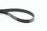 Continental Ctam 6PK1750 Keilrippenriemen FüR Alfa Romeo CitroËN Dodge Ford VW