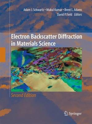 Elektronenrückstreuung Beugung in der Materialwissenschaft - 9781489993342