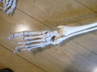 Foto 8 di 10