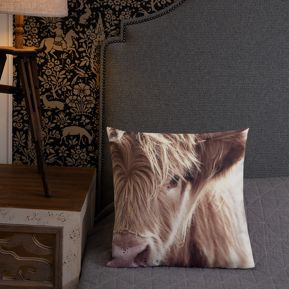 Feelyou Highland Cow Throw Pillow Covers 18"x18" Set Of 2