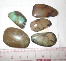 Turquoise Stone Flat Free Form Cabochon 139 Carat 5 pieces 27.8 gram Lot A