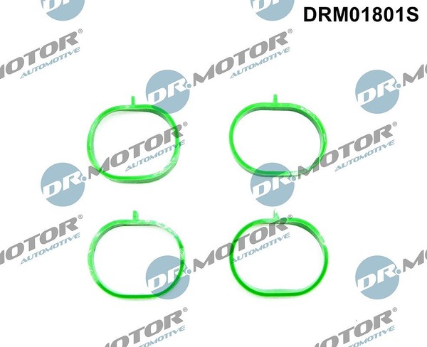 Dr.Motor Automotive Dichtungssatz, AnsaugkrüMmer U.A. FüR Dacia, Lada, Nissan-image