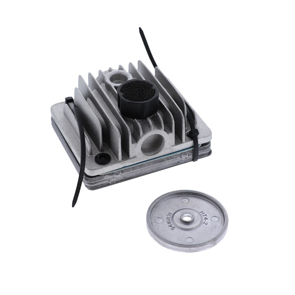 Valve Plate Assembly Cap60p-of