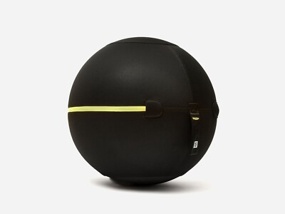 New Technogym Wellness Ball Active Sitting | eBay UK