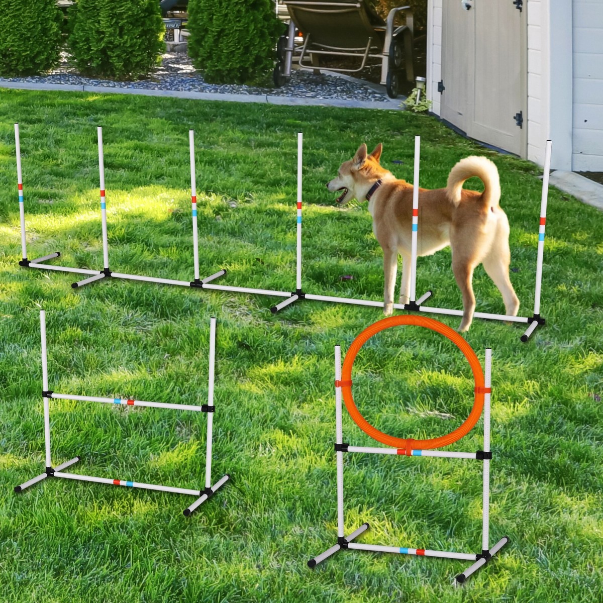 3PC Dog Agility Equipment Training Outdoor Pet Backyard Starter