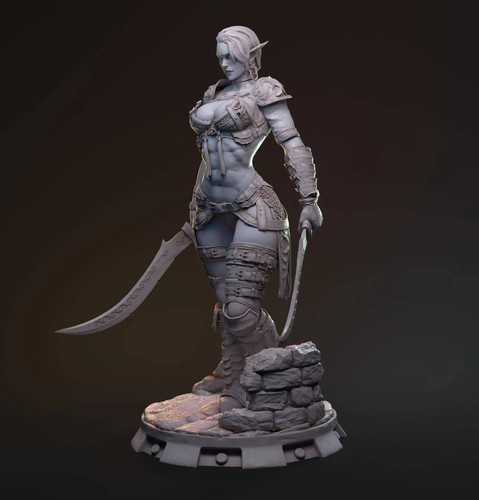 Hanza, Elf Drow Fighter | Hardwitch Games - 第 28/39 張圖片