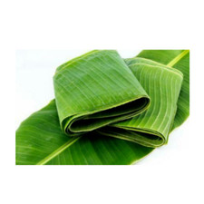 Fresh Green Banana Leaves 2 Lbs.