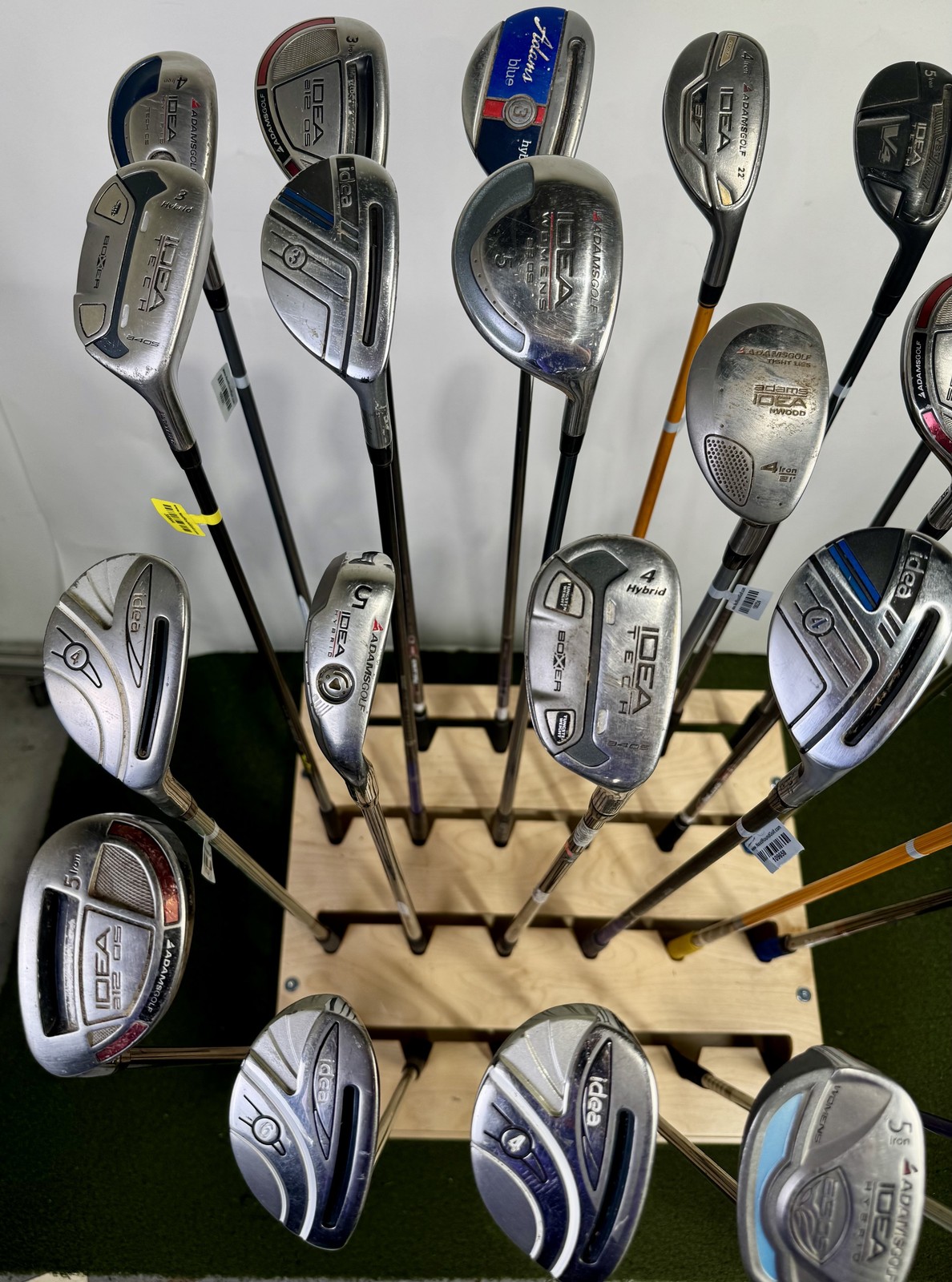 Wholesale Lot of 24 Adams Hybrids.