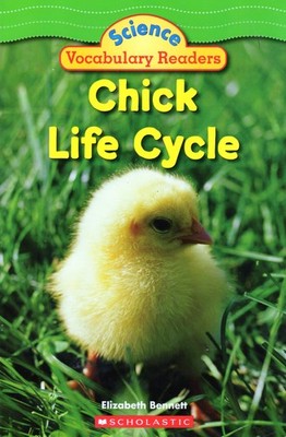 Chick Life Cycle