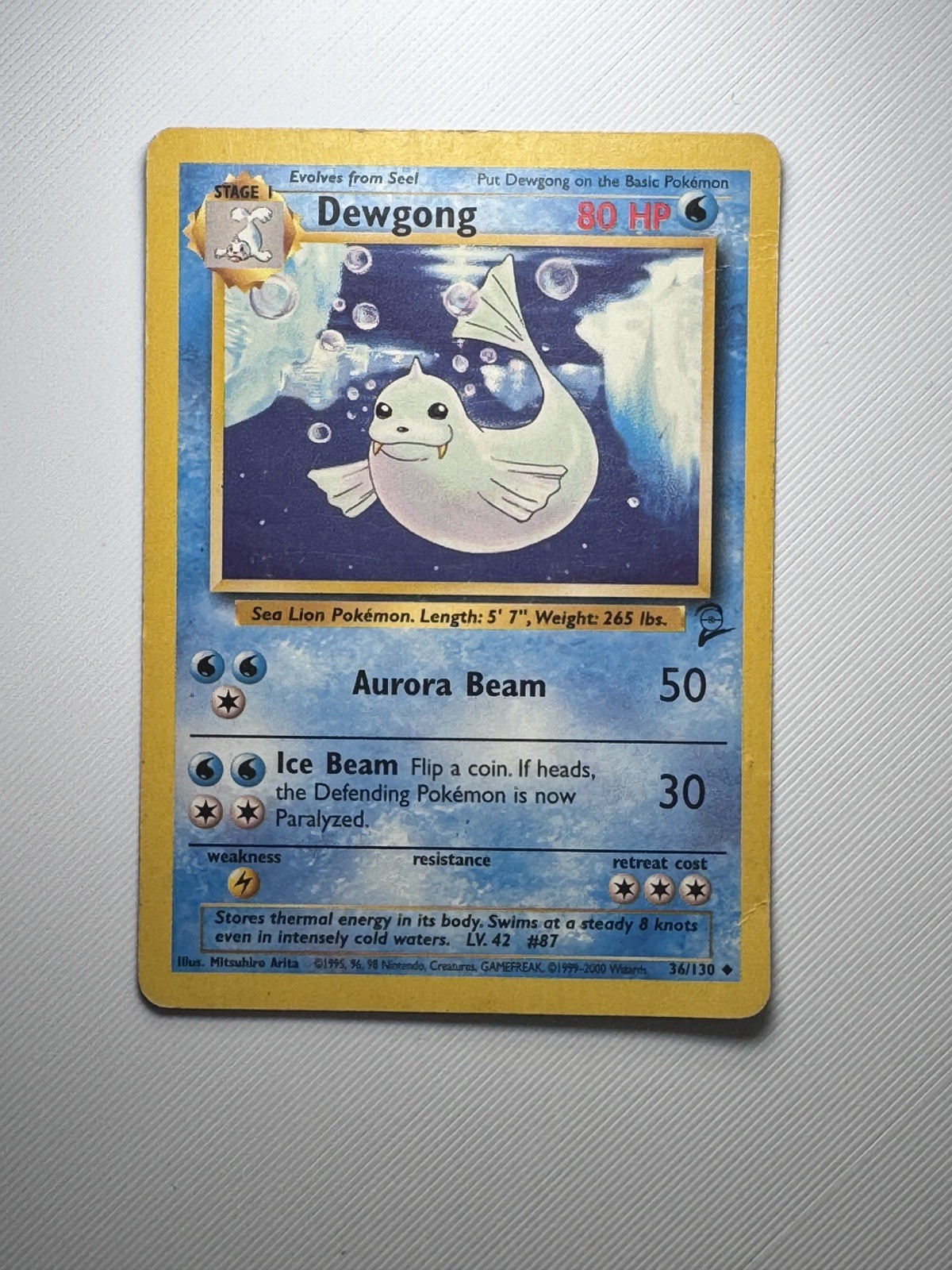 Pokémon TCG Dewgong 25/102 Base Set Uncommon Unlimited (HP)