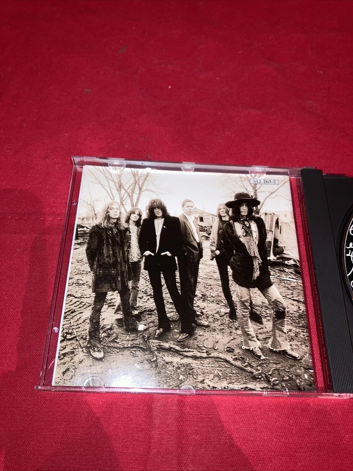 The Southern Harmony and Musical Companion von Black Crowes | CD | 02830 - Bild 2 von 4