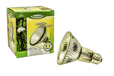 Dragon High-Spot - Halogen Spotstrahler - Watt: 30w - Terrarienspotstrahler