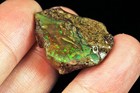 15.9Ct Ethiopian Black Opal Rough Specimen MSQO5189 — photo 3
