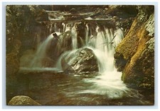 Postcard Shenandoah National Park VA Waterfall Laurel Prong Rapidan River Posted