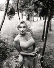 Marilyn Monroe Posing In The Forest 8x10 Picture Celebrity Print