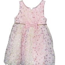 American Princess Dress 18M Floral Embroidered Tulle Coquette Party Flower Girl