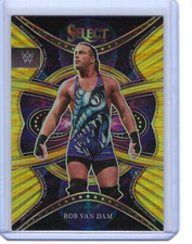 ROB VAN DAM 2022 PANINI SELECT WWE GOLD PRIZM /10