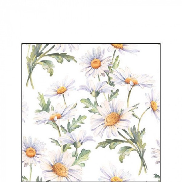 20 Papierservietten, Cocktail - Servietten Beautiful Daisies 25X25Cm By Ambiente-image