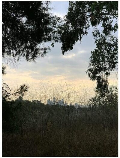 Jon Porras Arroyo (Vinyl LP) 12" Album