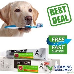 dog toothpaste ebay