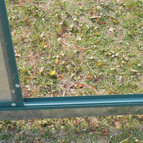 Steel Frame Garden Garden Greenhouse Walk-in Grow Polytunnel Planting Anti-UV UK - Picture 81 of 106