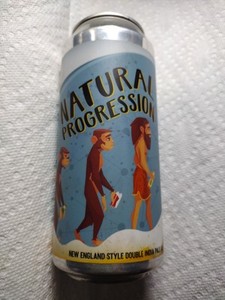 Natural Progression Cushwa Brewing Co. Williamsport MD Al 16oz Empty  Beer Can 