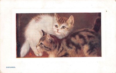 In Pussyland gestörte Biesen 9707 Oilette Postkarte (B259) um 1903