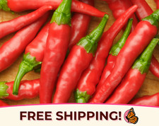 275 Hot Cayenne Pepper Seeds  Heirloom, Non-GMO, Vegetable Gardening Seeds