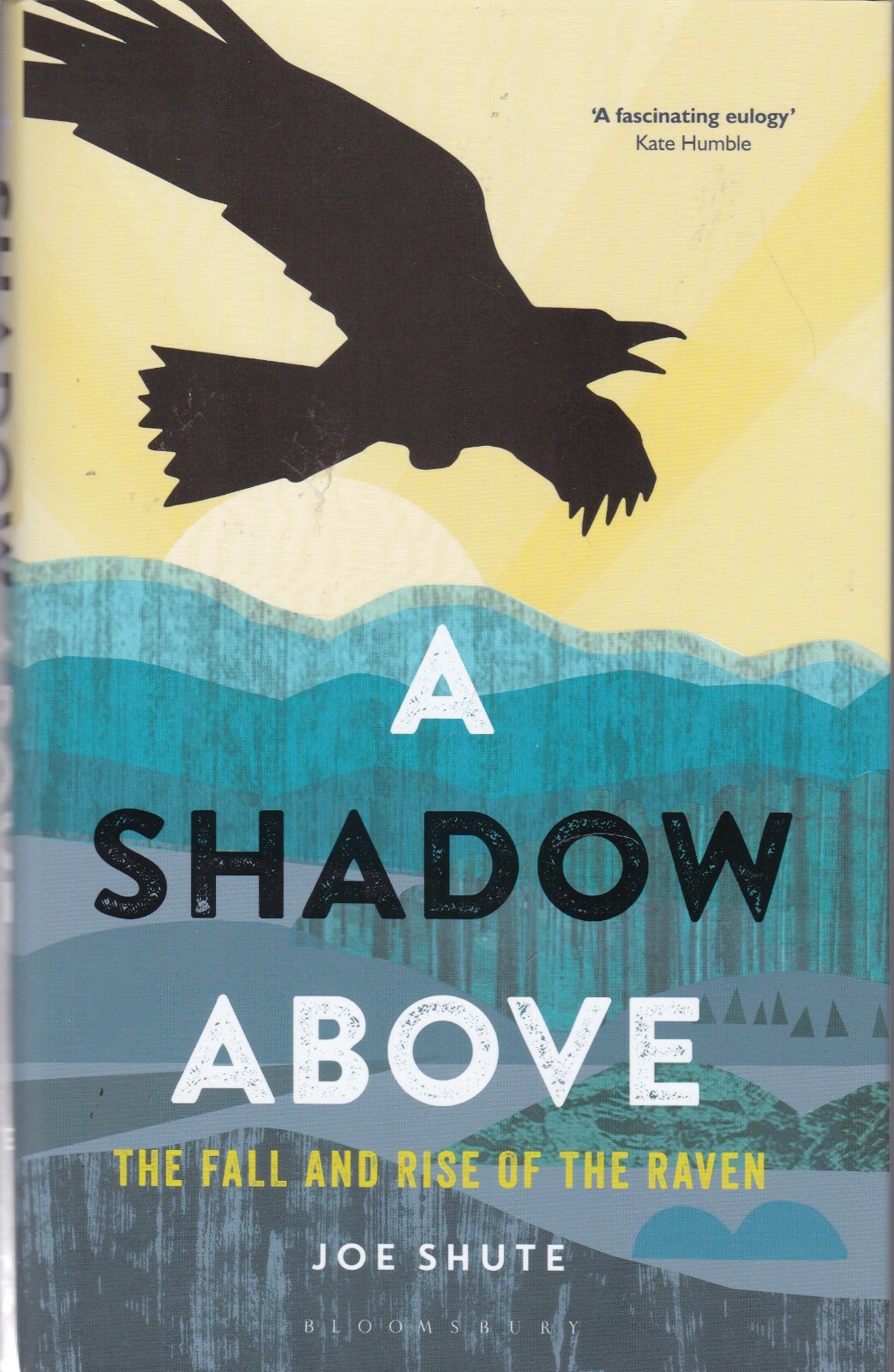 A SHADOW ABOVE - THE FALL AND RISE OF THE RAVEN by JOE SHUTE HARDBACK BOOK